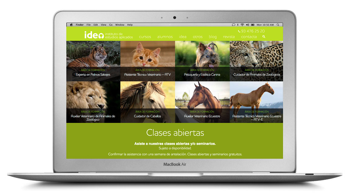 idea cursos animales