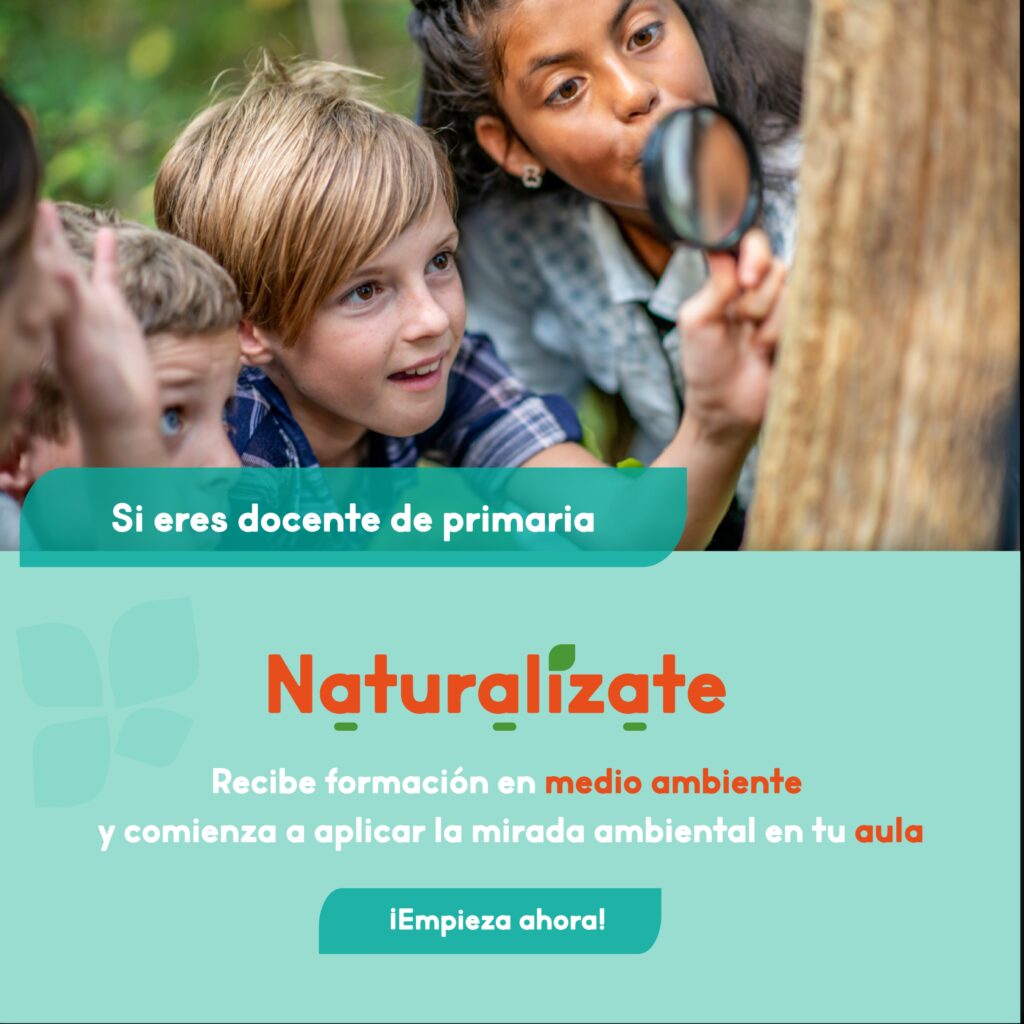 creatividades 2023 naturaliza